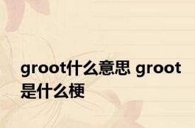 groot什么意思 groot是什么梗 