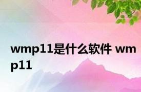 wmp11是什么软件 wmp11 