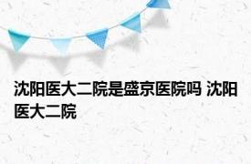 沈阳医大二院是盛京医院吗 沈阳医大二院 