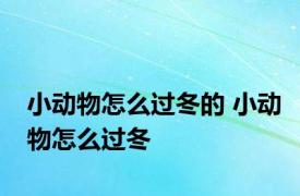 小动物怎么过冬的 小动物怎么过冬 