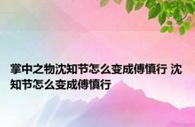 掌中之物沈知节怎么变成傅慎行 沈知节怎么变成傅慎行 