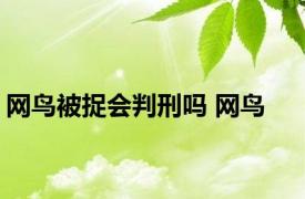 网鸟被捉会判刑吗 网鸟 