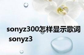 sonyz300怎样显示歌词 sonyz3 