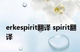 erkespirit翻译 spirit翻译 