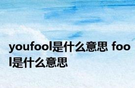 youfool是什么意思 fool是什么意思 