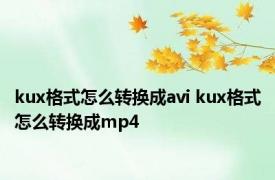 kux格式怎么转换成avi kux格式怎么转换成mp4 