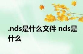 .nds是什么文件 nds是什么 