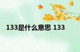 133是什么意思 133 