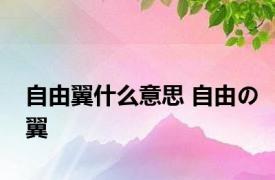 自由翼什么意思 自由の翼 