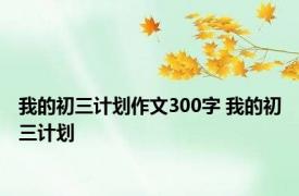 我的初三计划作文300字 我的初三计划 