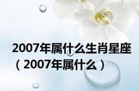 2007年属什么生肖星座（2007年属什么）