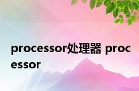 processor处理器 processor 