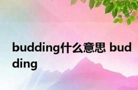 budding什么意思 budding 