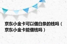 京东小金卡可以借白条的钱吗（京东小金卡能借钱吗）