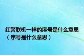 红警联机一样的序号是什么意思（序号是什么意思）