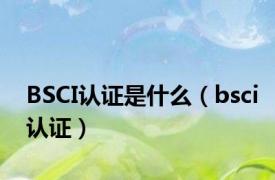 BSCI认证是什么（bsci认证）