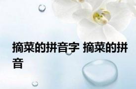 摘菜的拼音字 摘菜的拼音 