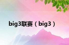 big3联赛（big3）