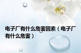 电子厂有什么危害因素（电子厂有什么危害）