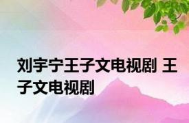 刘宇宁王子文电视剧 王子文电视剧 