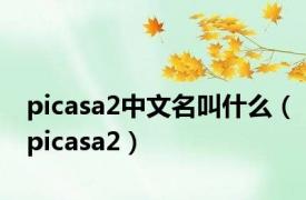 picasa2中文名叫什么（picasa2）