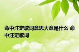 命中注定歌词意思大意是什么 命中注定歌词 