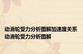 动滑轮受力分析图解加速度关系 动滑轮受力分析图解 