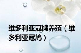 维多利亚冠鸠养殖（维多利亚冠鸠）