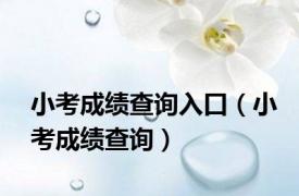 小考成绩查询入口（小考成绩查询）