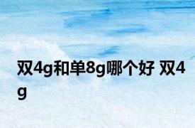 双4g和单8g哪个好 双4g 