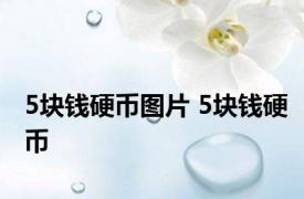 5块钱硬币图片 5块钱硬币 