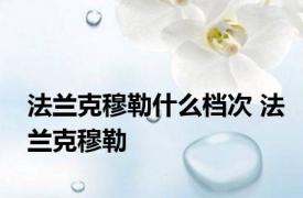 法兰克穆勒什么档次 法兰克穆勒 