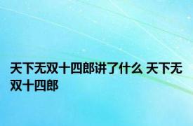 天下无双十四郎讲了什么 天下无双十四郎 