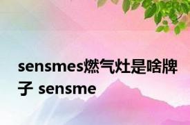 sensmes燃气灶是啥牌子 sensme 