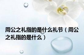 周公之礼指的是什么礼节（周公之礼指的是什么）