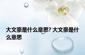 大文豪是什么意思? 大文豪是什么意思 