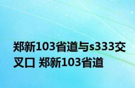 郑新103省道与s333交叉口 郑新103省道 