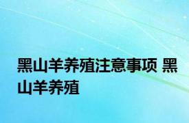 黑山羊养殖注意事项 黑山羊养殖 