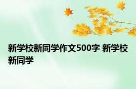 新学校新同学作文500字 新学校新同学 