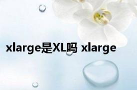 xlarge是XL吗 xlarge 