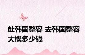 赴韩国整容 去韩国整容大概多少钱 