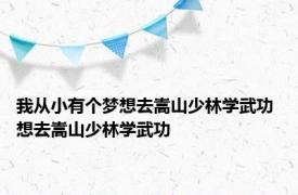 我从小有个梦想去嵩山少林学武功 想去嵩山少林学武功 