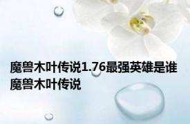 魔兽木叶传说1.76最强英雄是谁 魔兽木叶传说 