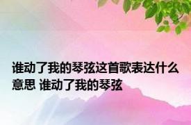 谁动了我的琴弦这首歌表达什么意思 谁动了我的琴弦 