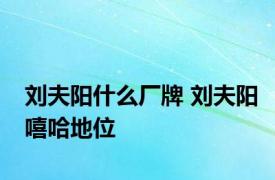 刘夫阳什么厂牌 刘夫阳嘻哈地位 