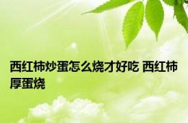 西红柿炒蛋怎么烧才好吃 西红柿厚蛋烧 