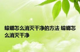 蟑螂怎么消灭干净的方法 蟑螂怎么消灭干净 