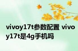 vivoy17t参数配置 vivoy17t是4g手机吗 