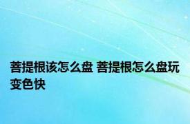 菩提根该怎么盘 菩提根怎么盘玩变色快 