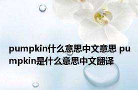 pumpkin什么意思中文意思 pumpkin是什么意思中文翻译 